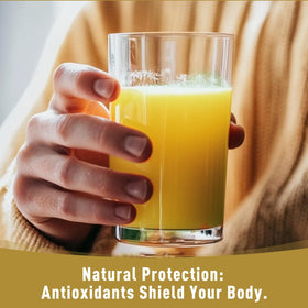 Poudre de Ginkgo Biloba 'D ORGANIC dans un verre d'eau