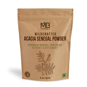 Poudre de gomme acacia MB Herbals 240g en sachet refermable