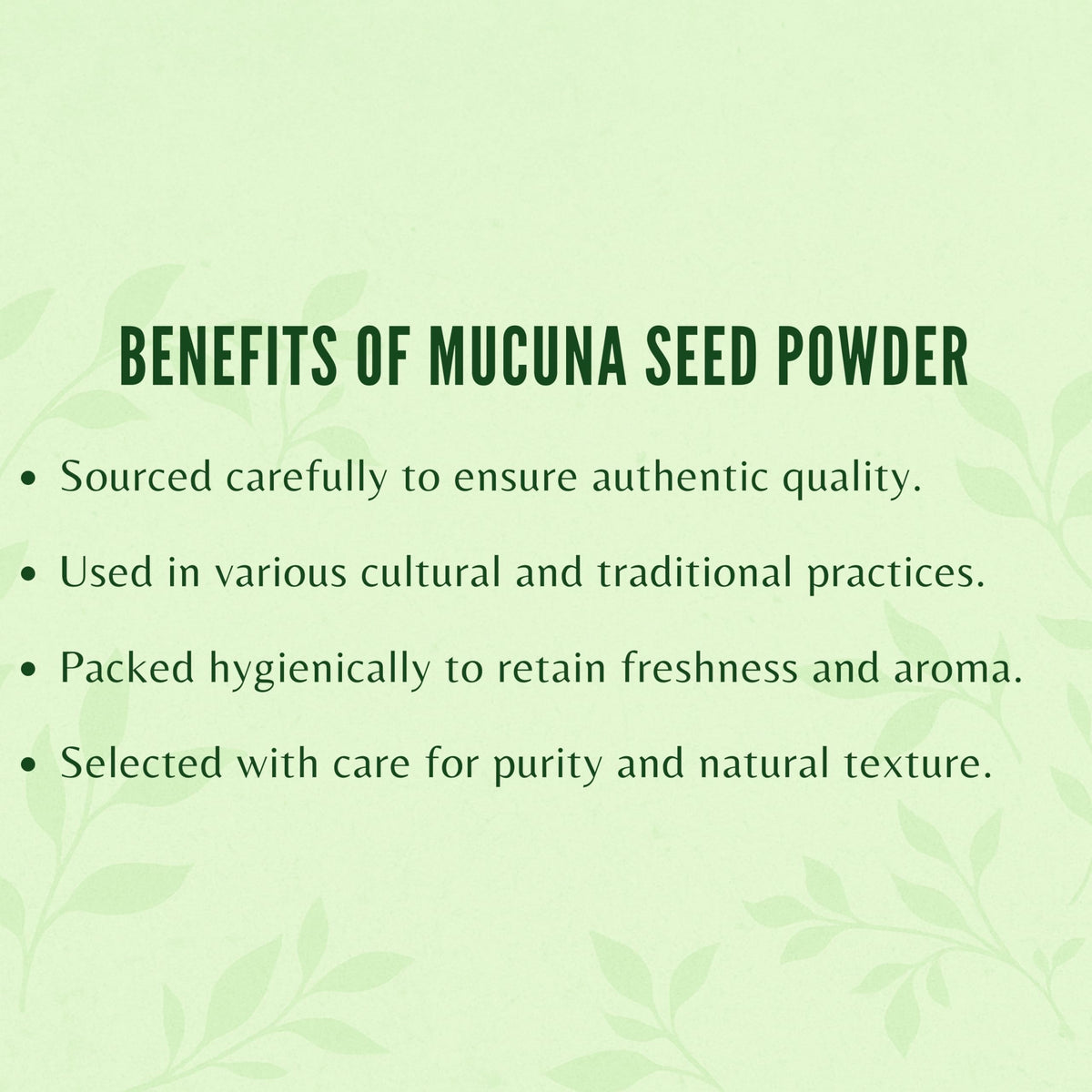 Poudre de Graines de Mucuna AYURVEDASHREE sur une cuillère