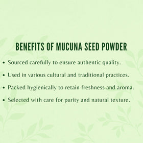 Poudre de Graines de Mucuna AYURVEDASHREE sur une cuillère