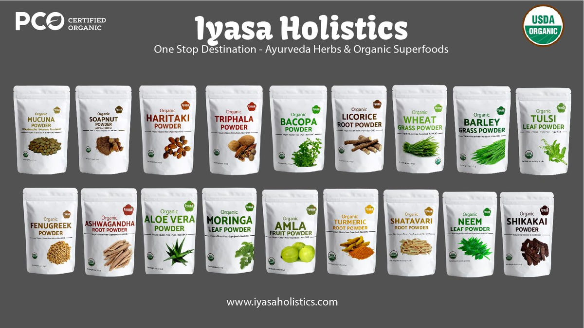 Poudre de haritaki bio Iyasa Holistics avec des ingrédients naturels