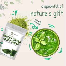 Poudre de jus d'orge bio Micro Ingredients sur une table en bois