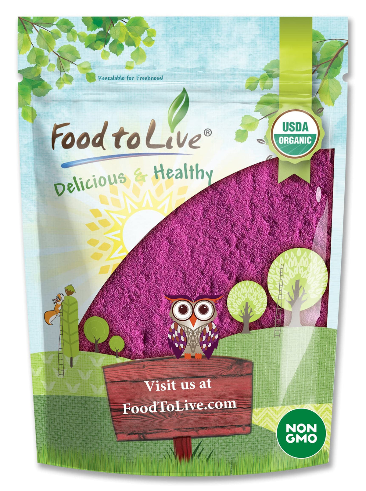 Poudre de jus de cassis bio Food to Live 470g vue de face
