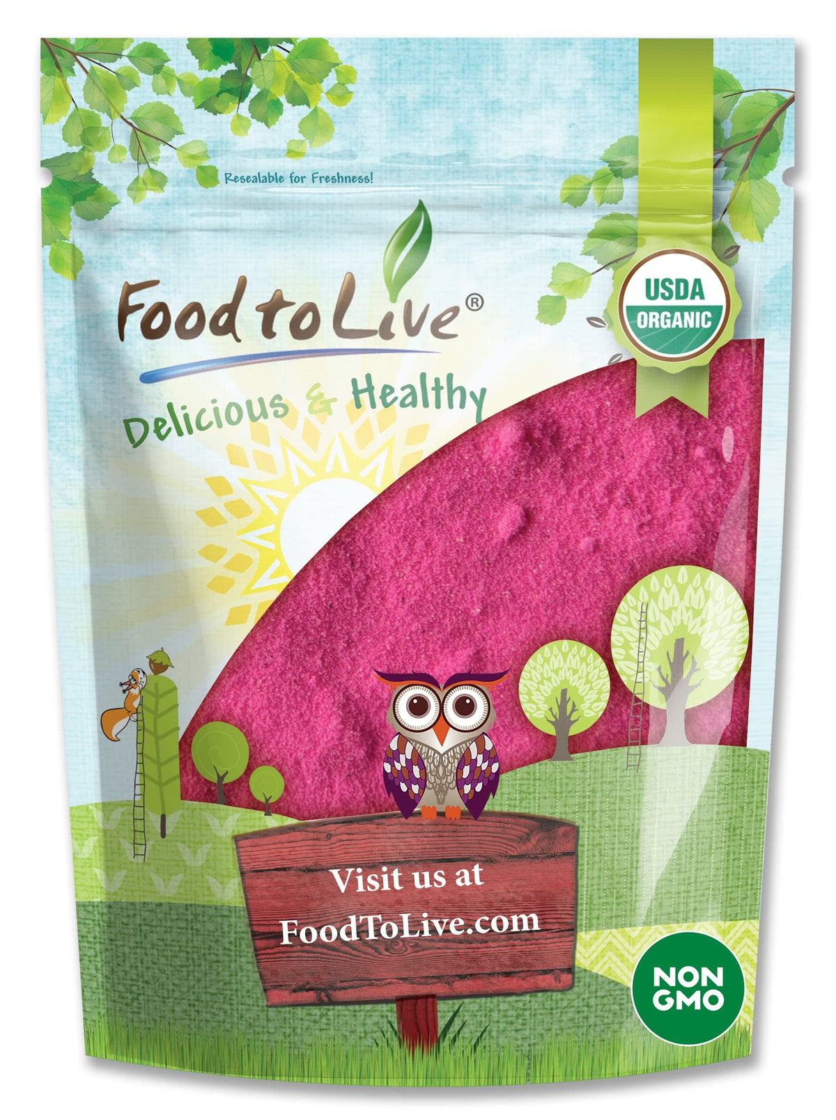 Poudre de jus de fruit du dragon bio Food to Live en sachet de 400g