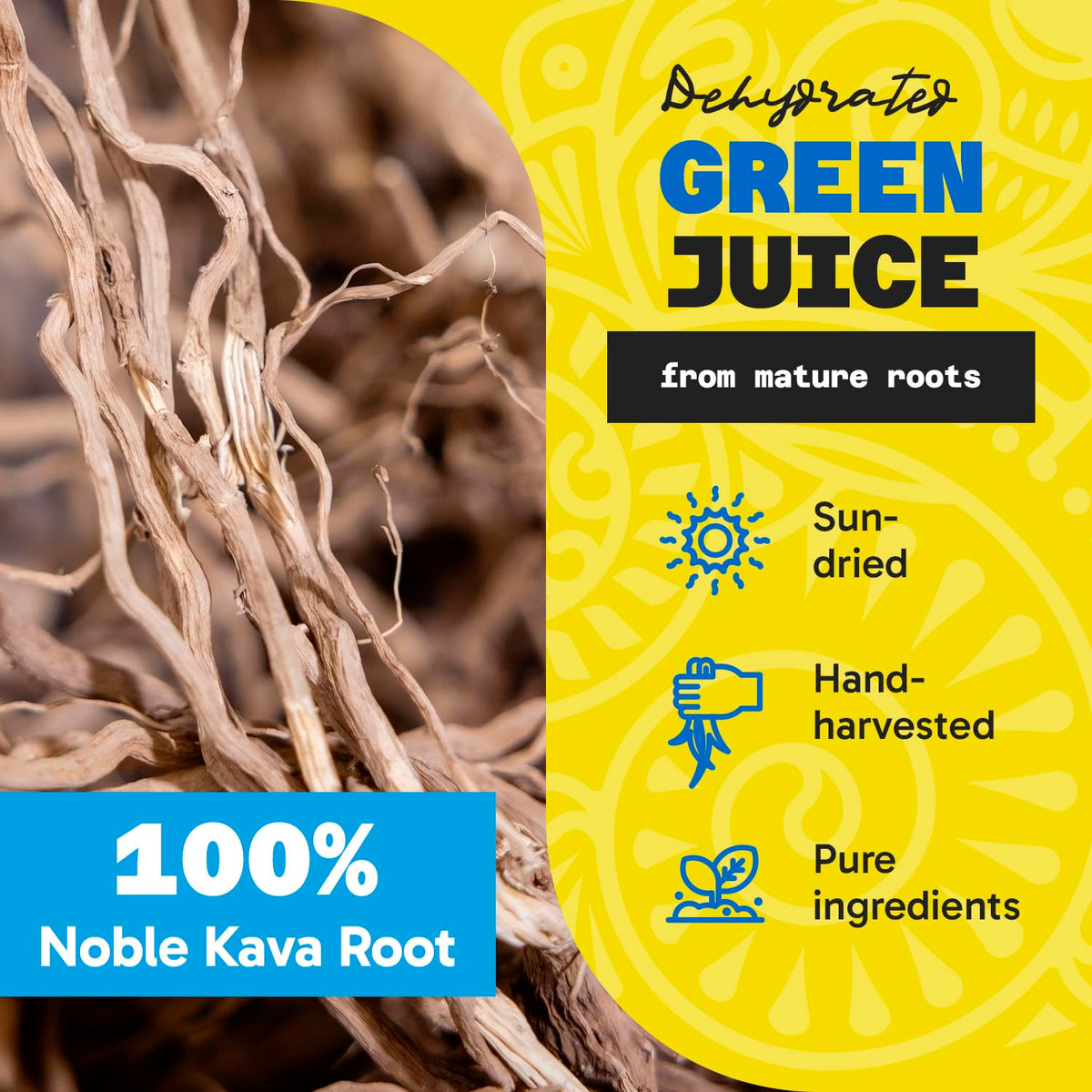 Poudre de kava de Fiji Vanua versée dans un verre