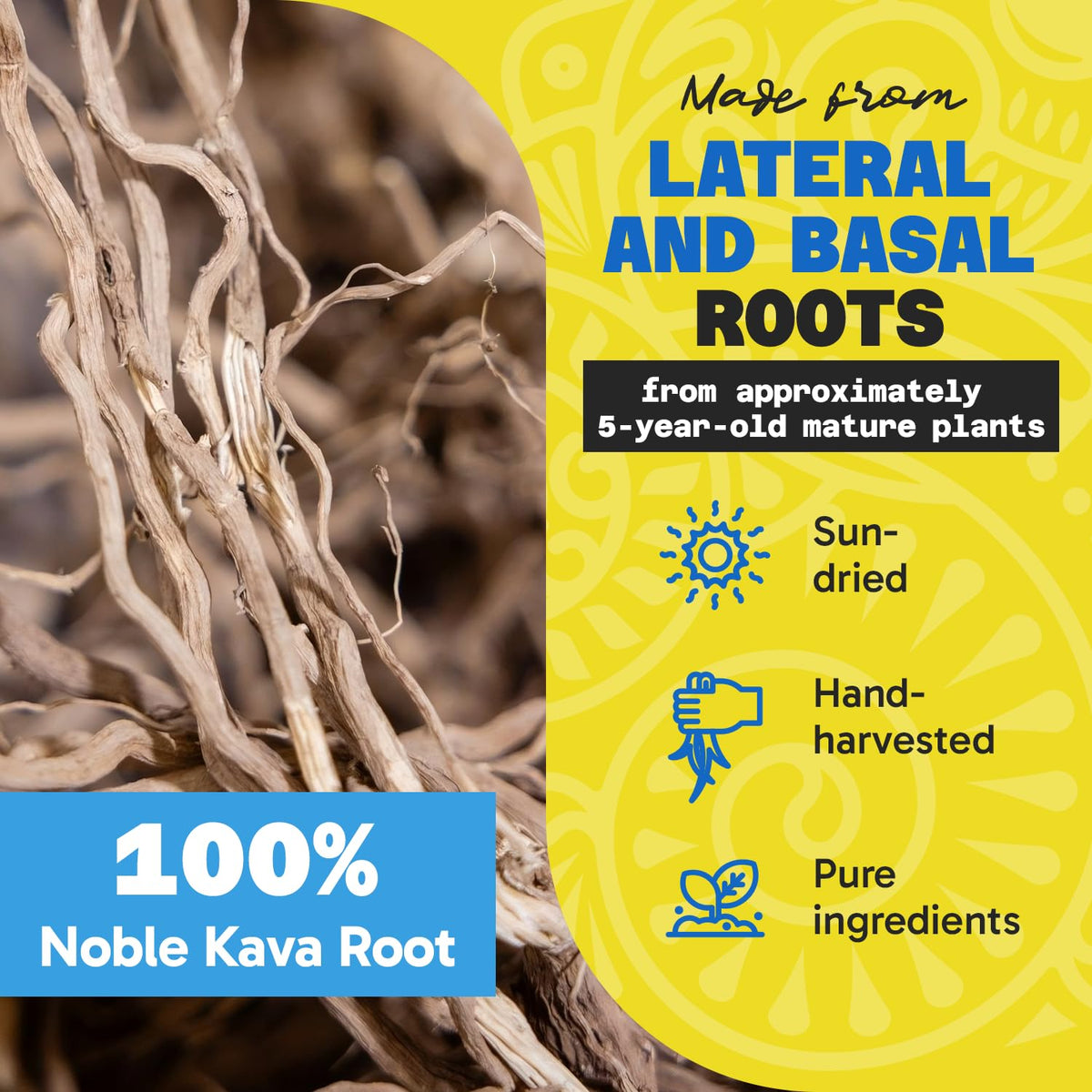 Poudre de kava Fiji Vanua dans un bol avec une cuillère
