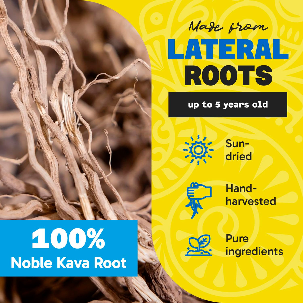 Poudre de kava Loloma Waka dans un bol, préparée pour consommation