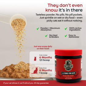 Poudre de L-Lysine pour chats, étiquette et dosage