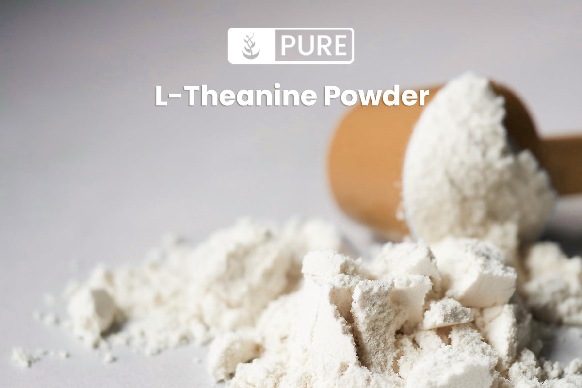 Poudre de L-Theanine PURE ORIGINAL INGREDIENTS dans un bol
