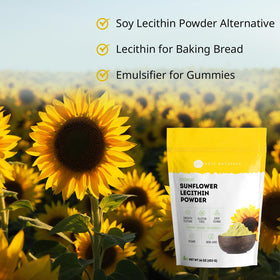 Poudre de Lécithine de Tournesol Kate Naturals dans un récipient