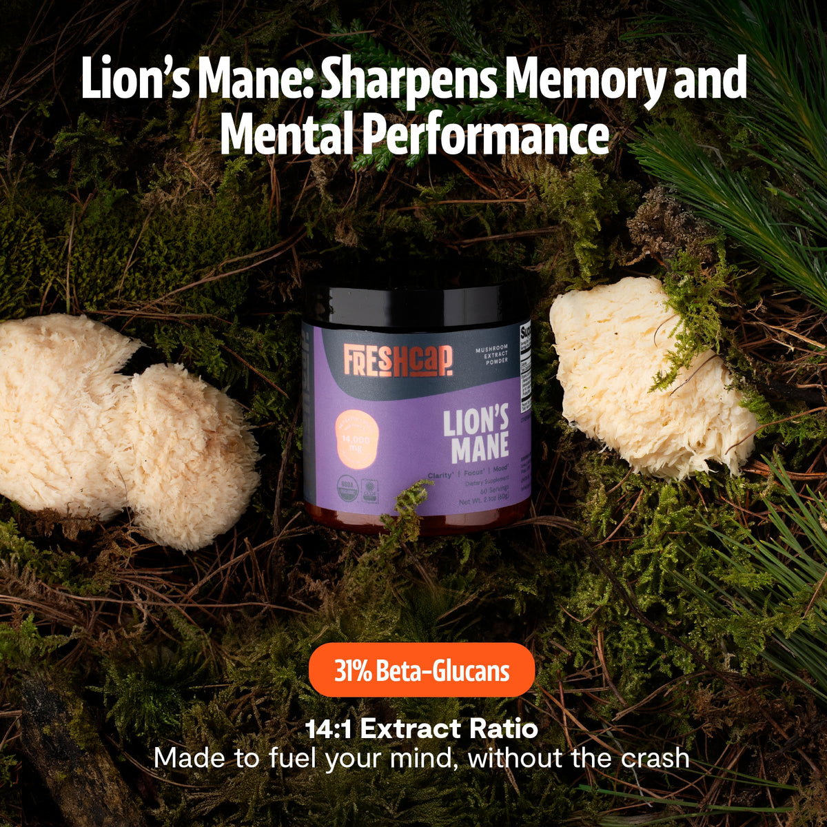 Poudre de Lion's Mane FreshCap 90g vue latérale