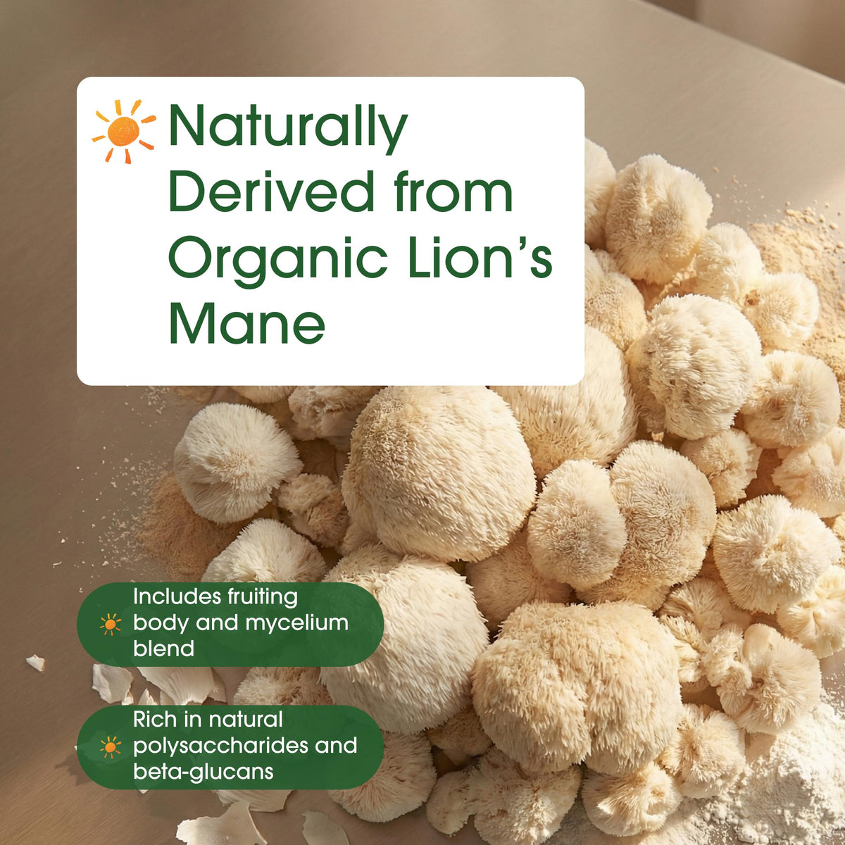 Poudre de Lion's Mane NatureBell dans un bol