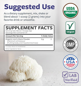 Poudre de Lion's Mane sur une table de cuisine
