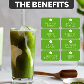Poudre de Matcha aux Champignons Bio PowderVitamin avec des ingrédients naturels