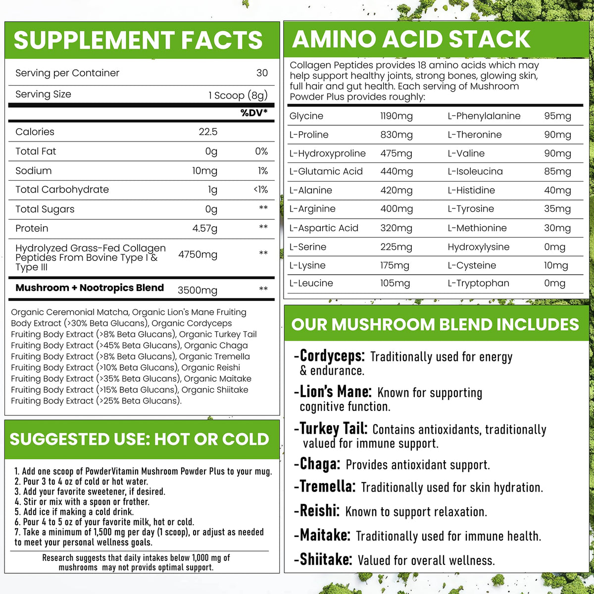 Poudre de Matcha aux Champignons Bio PowderVitamin avec des tasses de lattes