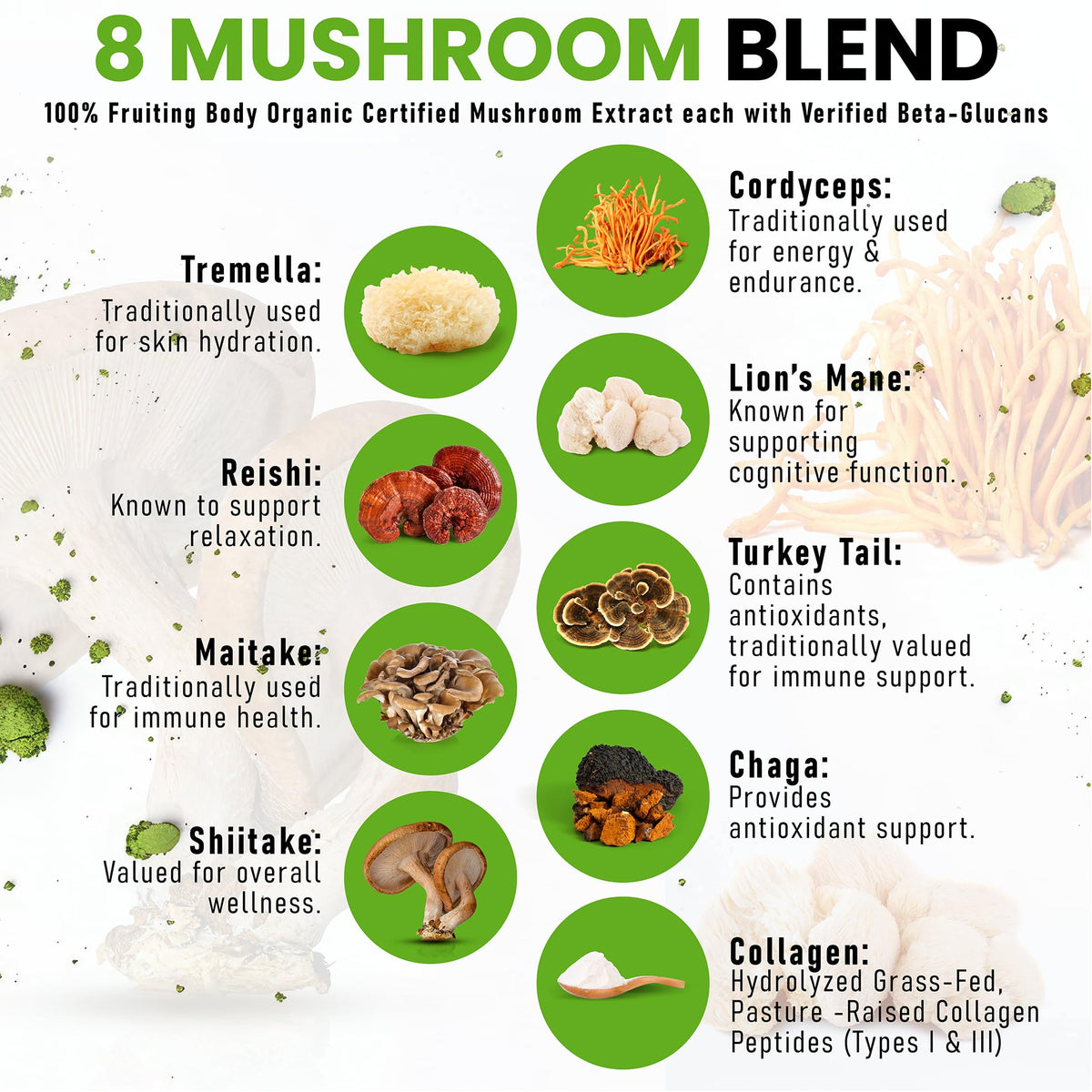 Poudre de Matcha aux Champignons Bio PowderVitamin dans un bol