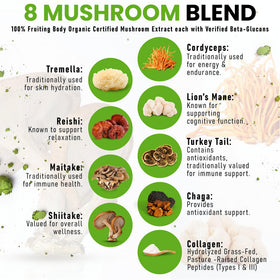 Poudre de Matcha aux Champignons Bio PowderVitamin dans un bol