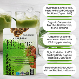 Poudre de Matcha aux Champignons Bio PowderVitamin en préparation d'une boisson