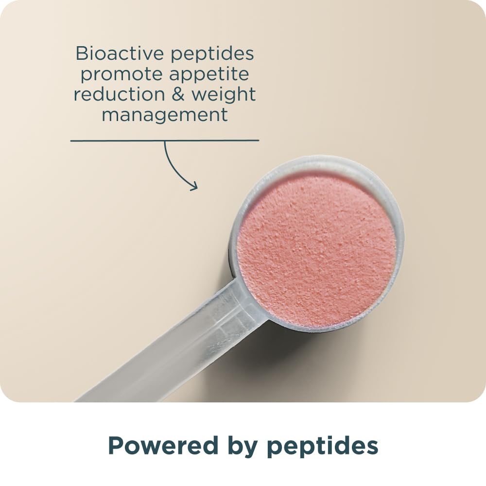 Poudre de Métabolisme Active Peptides d'Ancient Nutrition, vue de côté