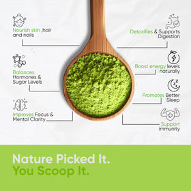 Poudre de Moringa Bio ALADA ORGANIC dans un smoothie