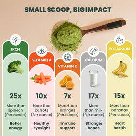 Poudre de moringa bio EVARA dans un smoothie