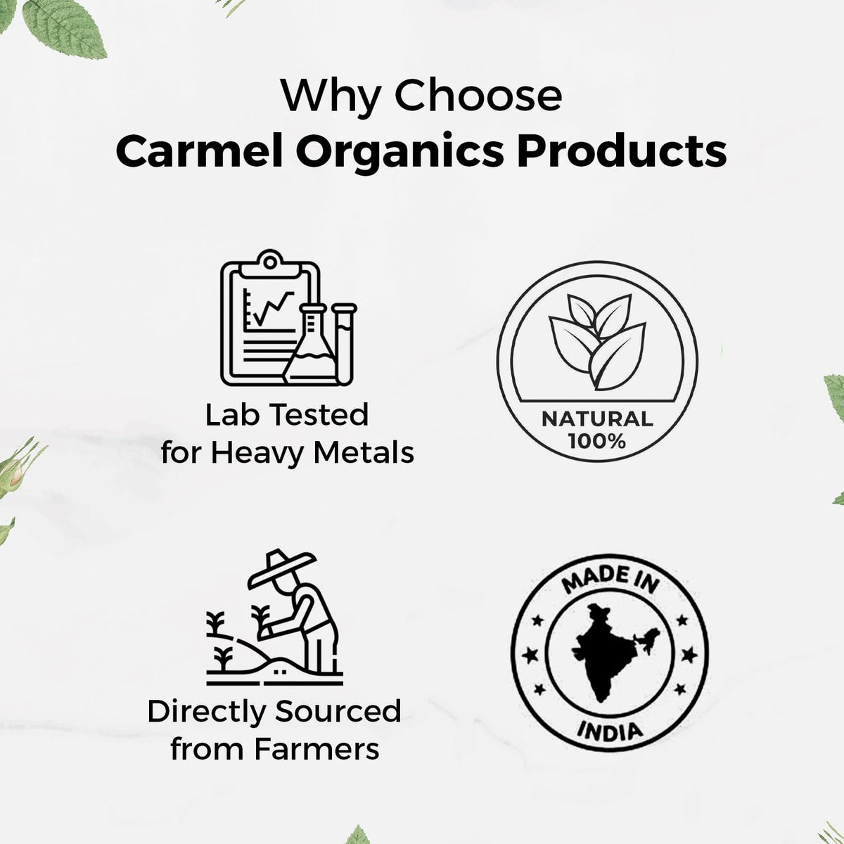 Poudre de Mucuna Pruriens CARMEL ORGANICS dans un bol