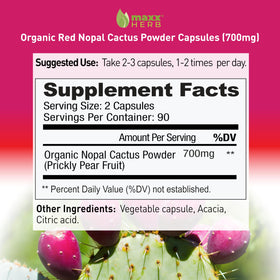 Poudre de Nopal Rouge Maxx Herb dans une cuillère