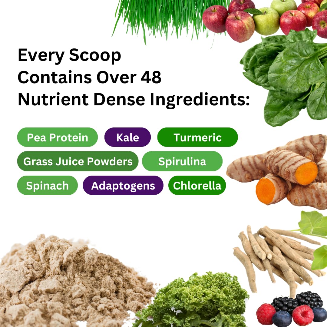Poudre de protéines et verts Paradise Herbs 590g sur une table