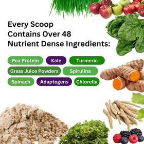 Poudre de protéines et verts Paradise Herbs 590g sur une table
