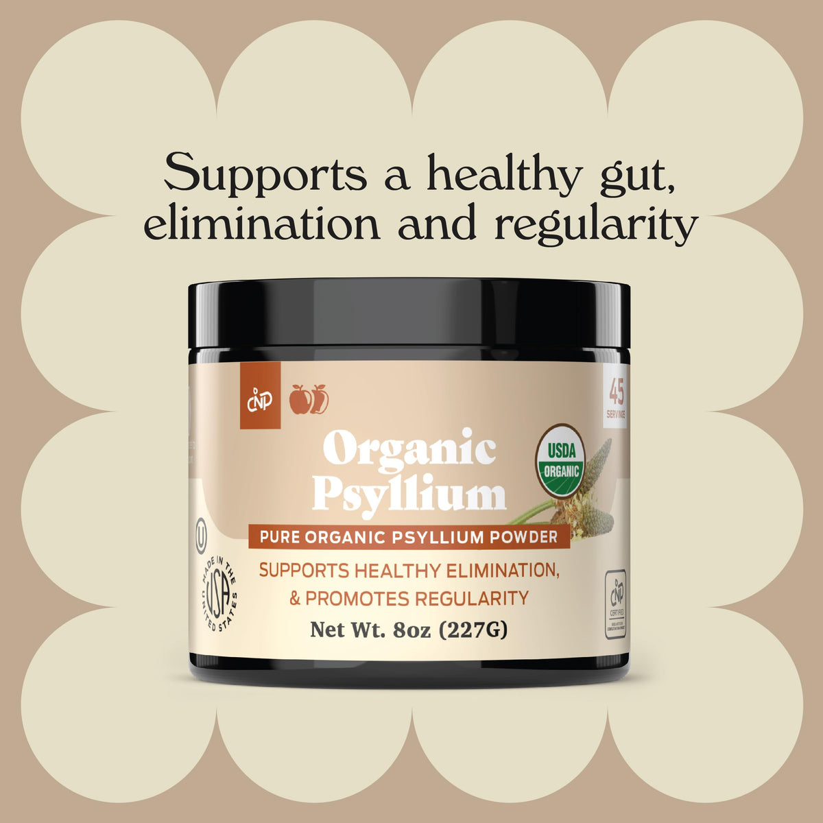 Poudre de psyllium bio 200g dans un bol