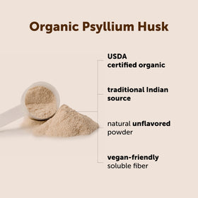 Poudre de psyllium bio Micro Ingredients dans un bol