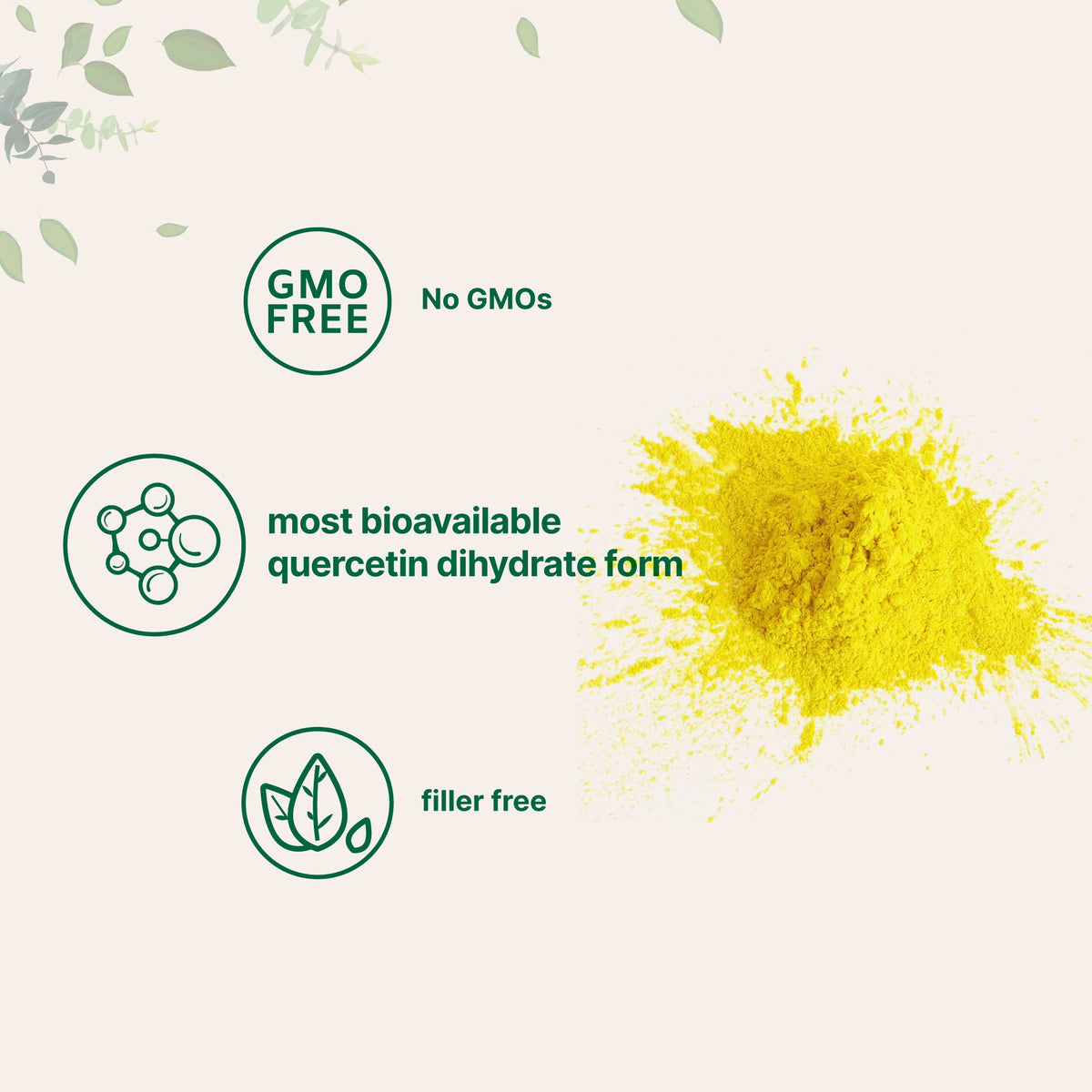 Poudre de Quercétine Dihydratée Micro Ingredients 500mg 100g avec cuillère