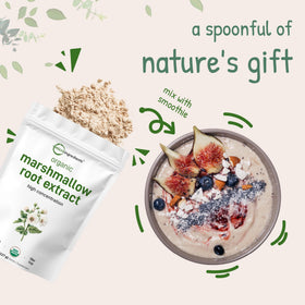 Poudre de racine de guimauve bio dans un smoothie