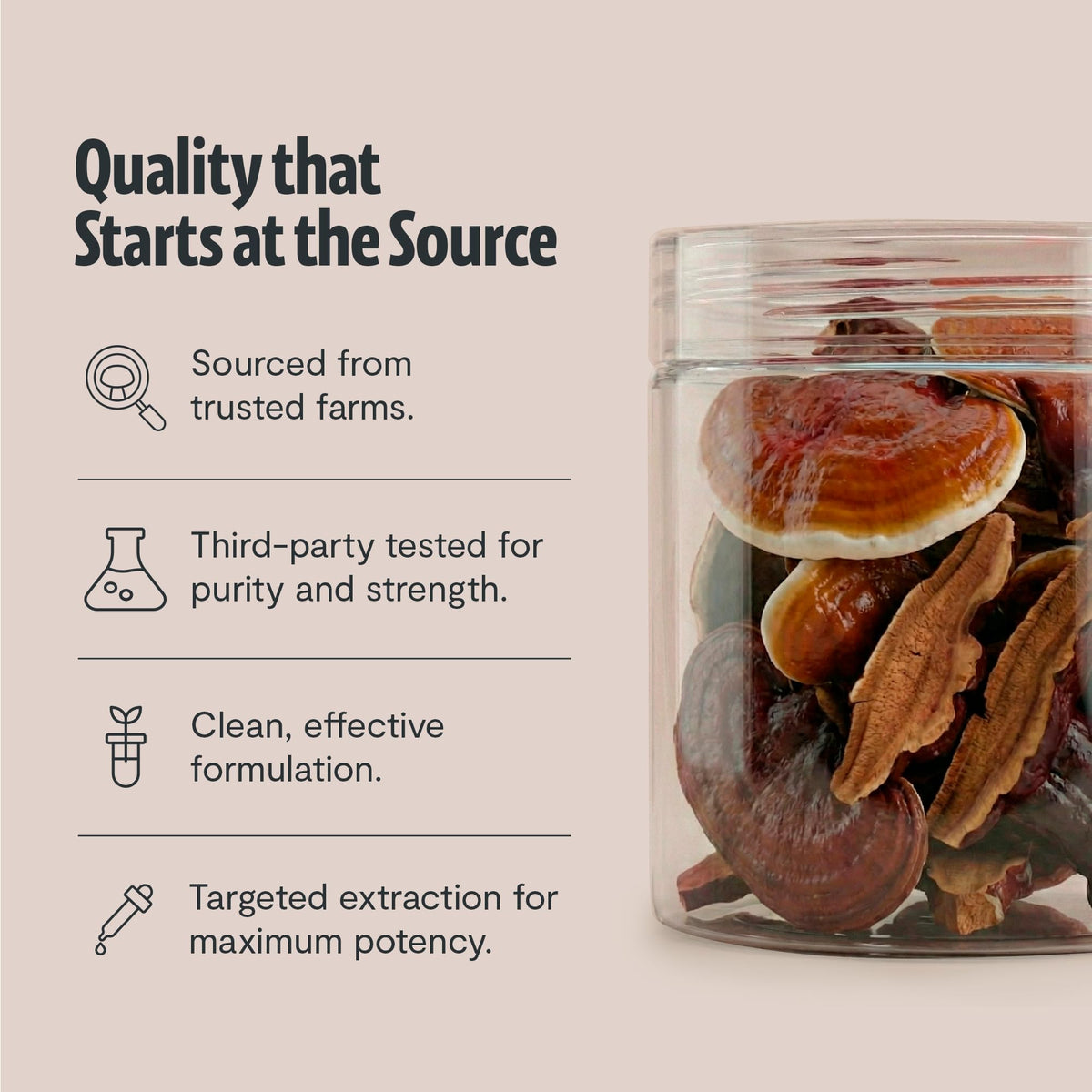 Poudre de Reishi FreshCap dans un verre avec de l'eau