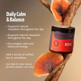 Poudre de Reishi FreshCap sur une surface en bois