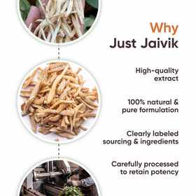 Poudre de Safed Musli Bio Just Jaivik dans un bol