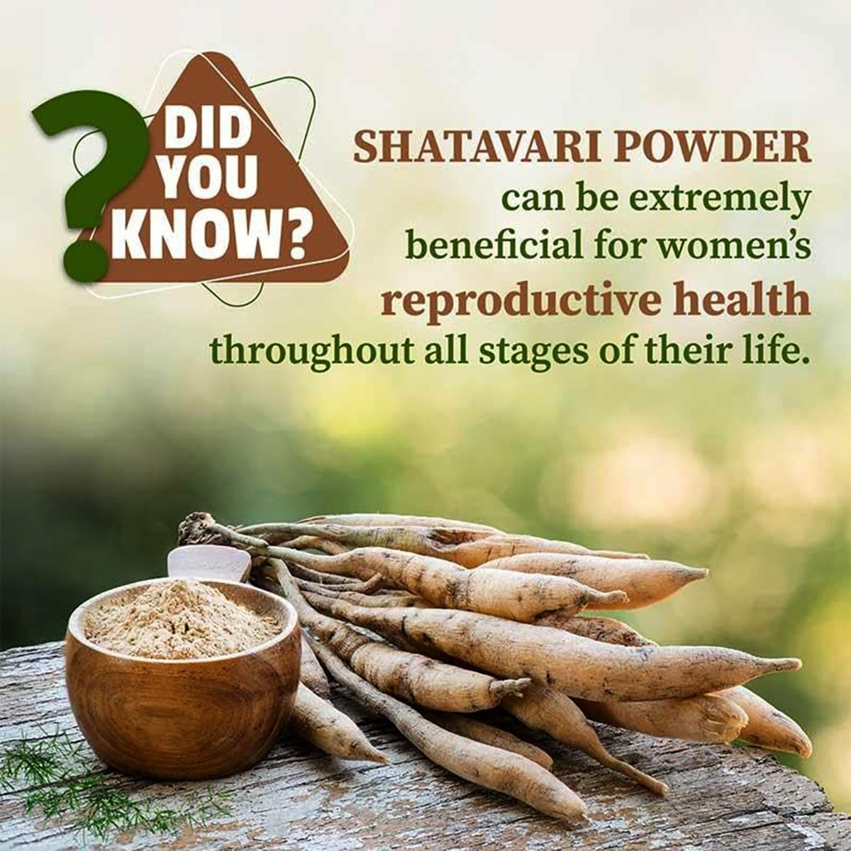 Poudre de Shatavari VEDAPURE sur une surface en bois