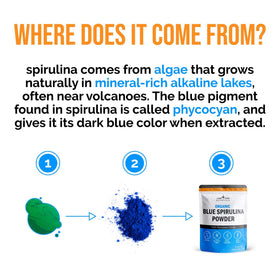 Poudre de Spiruline Bleue Bio dans un mélangeur