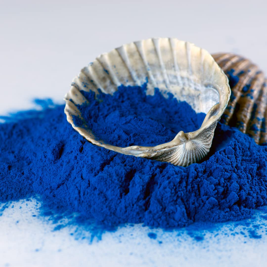Poudre de spiruline bleue dans un bol, prête à être mélangée