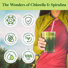 Poudre de Spiruline Chlorella 50/50 Good Natured en portion