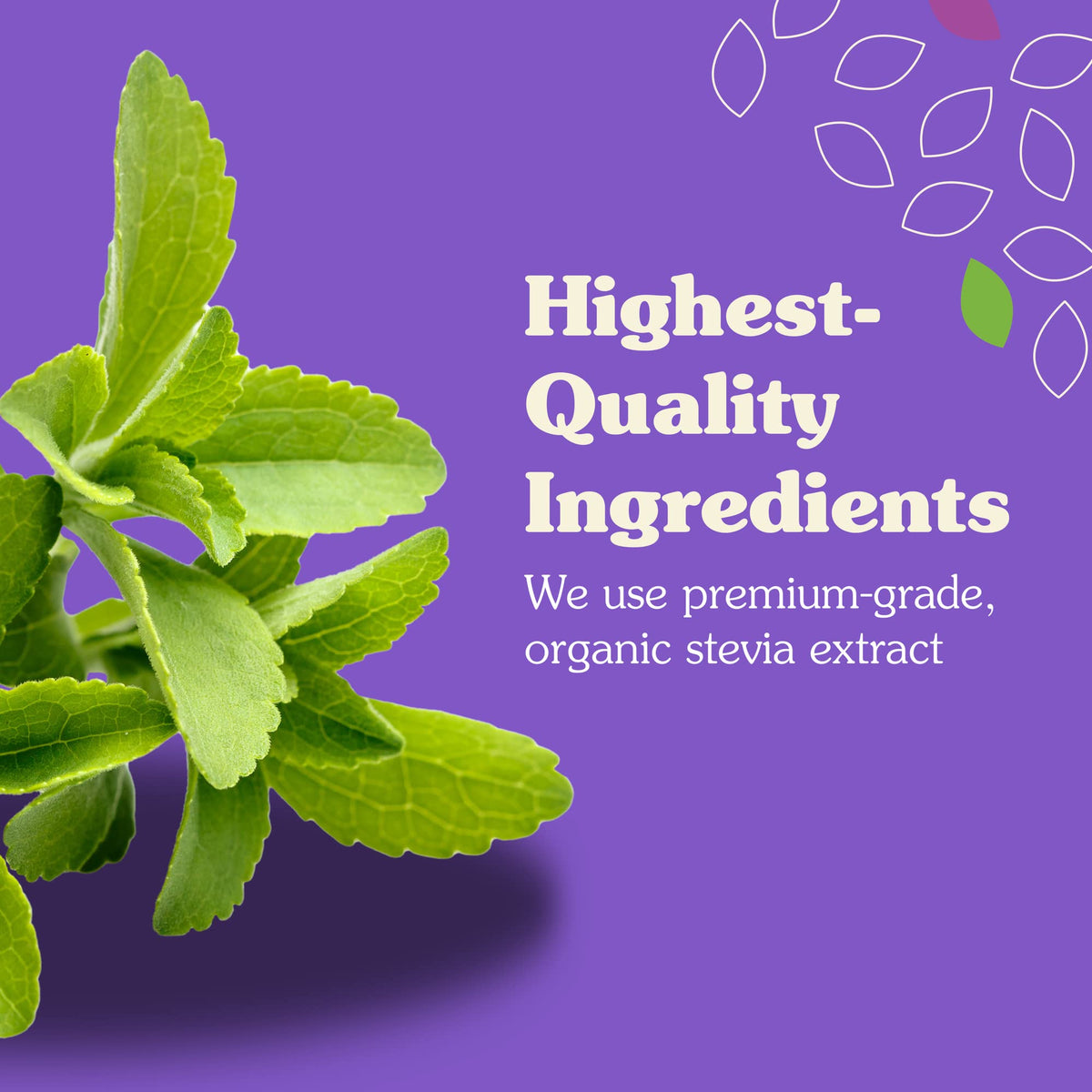 Poudre de stevia blanche Nunaturals dans un bol