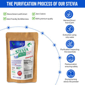 Poudre de Stevia BSL BSWEETBNATURAL avec des feuilles de Stevia
