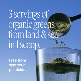 Poudre de super greens Ora Organic avec des ingrédients frais en arrière-plan