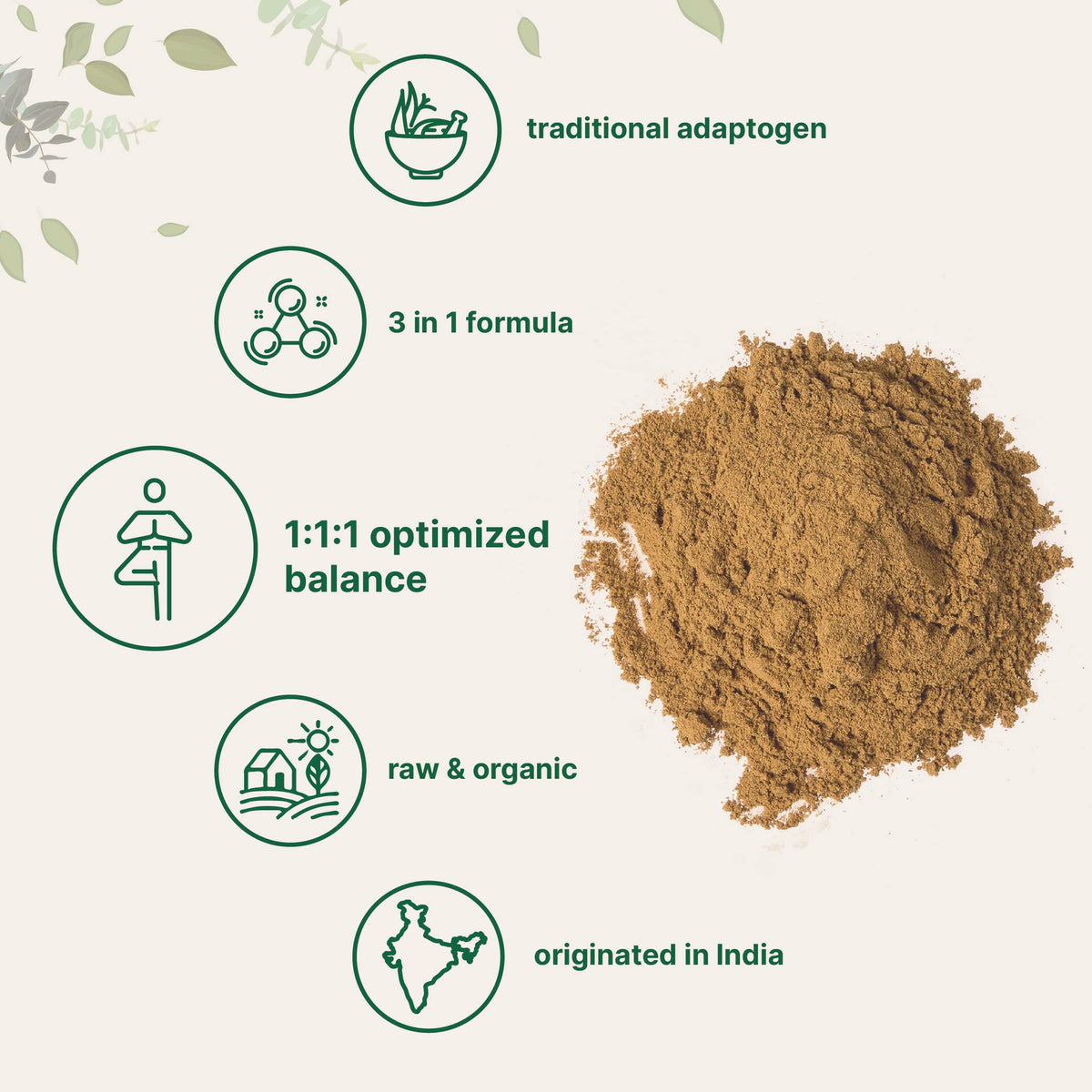 Poudre de Triphala Bio Micro Ingredients dans un bol avec des fruits