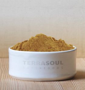 Poudre de Triphala Bio Terrasoul Superfoods dans un bol