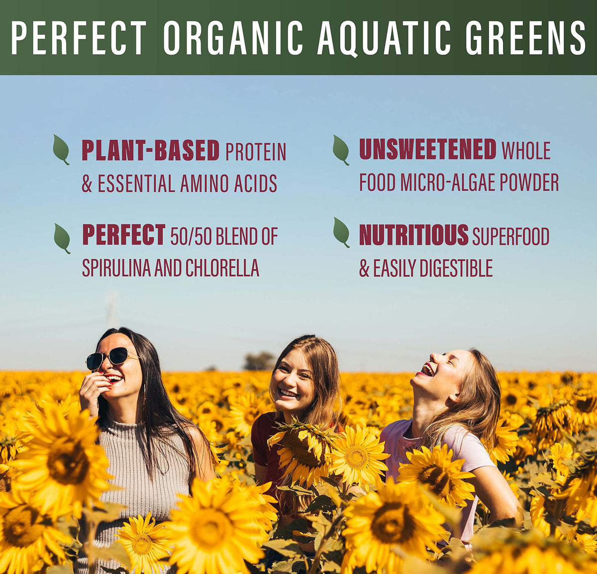 Poudre de Verdure Aquatique Perfect Supplements 135g vue de côté