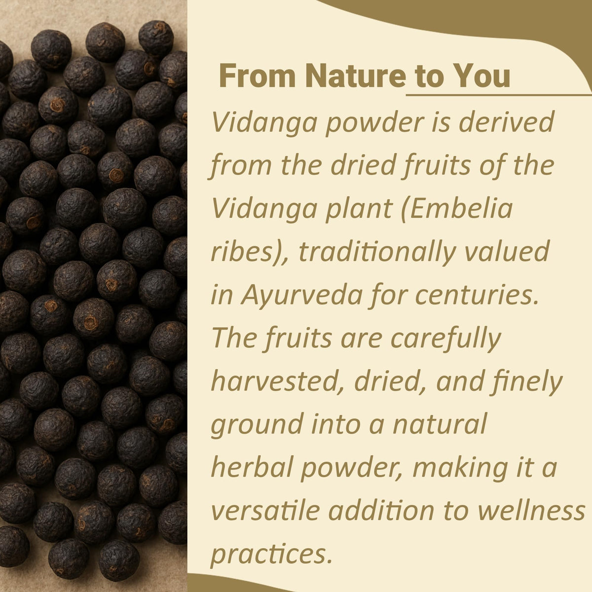 Poudre de Vidanga minature 227 g vue arrière avec informations nutritionnelles