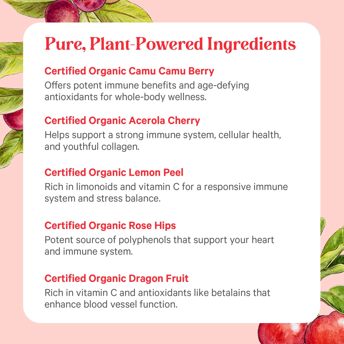 Poudre de vitamine C bio PURE SYNERGY sur une cuillère en bois