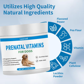 Poudre de vitamines prénatales pour chiens mélangée à de la nourriture