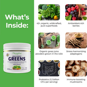 Poudre énergétique Greens Paradise Herbs 204g dans un bol avec cuillère